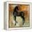 Caballo del Negro II-Maeve Harris-Framed Premier Image Canvas