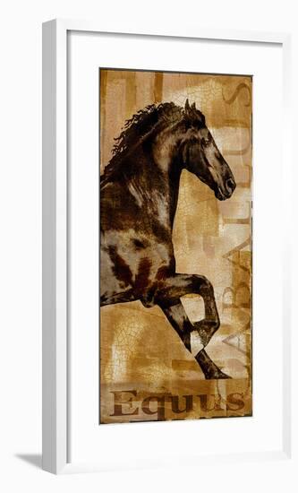 Caballus II-Mark Chandon-Framed Giclee Print