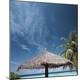 Premium Photographic Print