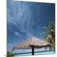 Premium Photographic Print