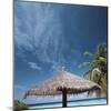 Cabana and Palm Trees-null-Mounted Photographic Print