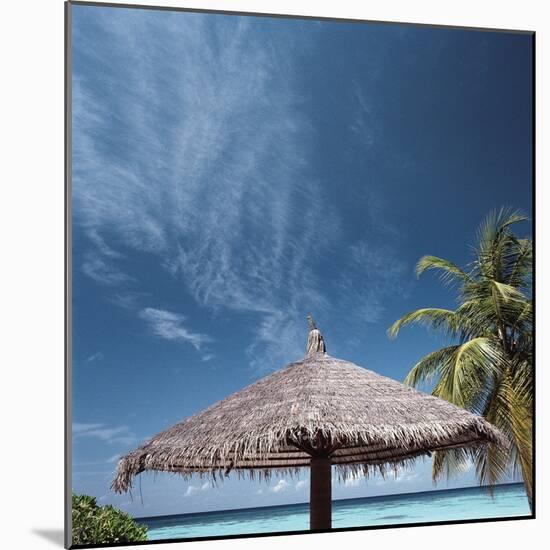 Cabana and Palm Trees-null-Mounted Photographic Print