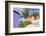 Cabana on Half Moon Cay, Little San Salvador Island, Bahamas, West Indies, Central America-Richard Cummins-Framed Photographic Print