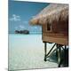 Premium Photographic Print