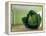 Cabbage (After Magritte) 1995-Norman Hollands-Framed Premier Image Canvas