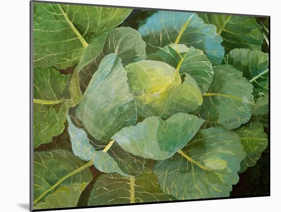 Cabbage (Blue), 2014-Jennifer Abbott-Mounted Giclee Print