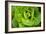 Cabbage Detail-Erin Berzel-Framed Photographic Print