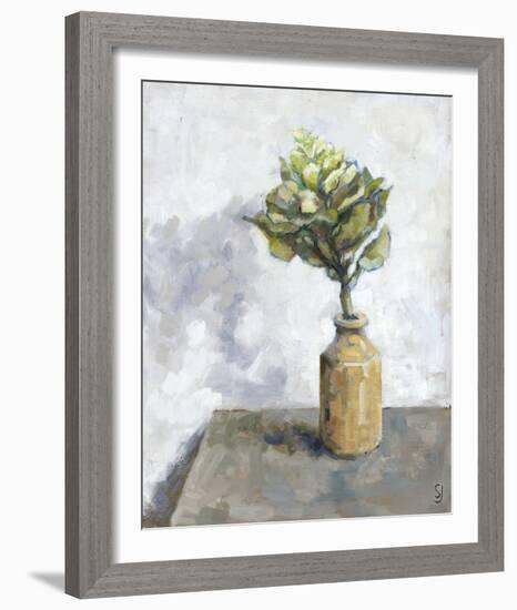 Cabbage Flower-Steven Johnson-Framed Giclee Print