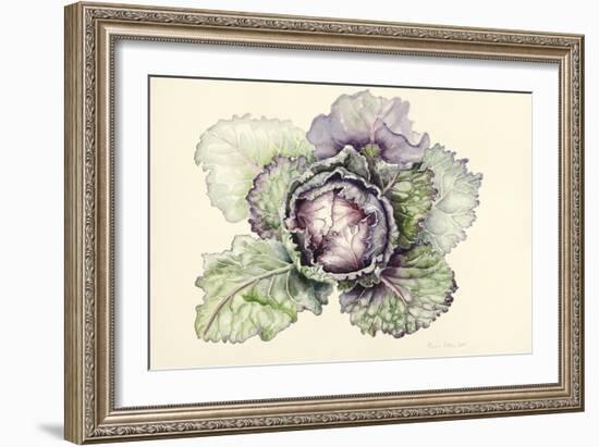 Cabbage from the Market-Alison Cooper-Framed Giclee Print