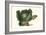 Cabbage Head-Philippe-Victoire Leveque de Vilmorin-Framed Art Print