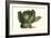 Cabbage Head-Philippe-Victoire Leveque de Vilmorin-Framed Art Print