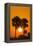 Cabbage Palms at Sunrise, Florida Bay, Everglades NP, Florida, Usa-Maresa Pryor-Framed Premier Image Canvas