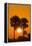 Cabbage Palms at Sunrise, Florida Bay, Everglades NP, Florida, Usa-Maresa Pryor-Framed Premier Image Canvas