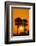 Cabbage Palms at Sunrise, Florida Bay, Everglades NP, Florida, Usa-Maresa Pryor-Framed Photographic Print