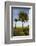 Cabbage Palms, Kissimmee Prairie State Preserve, Florida, USA-Maresa Pryor-Framed Photographic Print