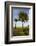 Cabbage Palms, Kissimmee Prairie State Preserve, Florida, USA-Maresa Pryor-Framed Photographic Print