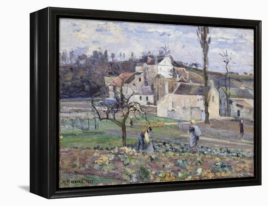 Cabbage Patch Near the Village, 1875-Camille Pissarro-Framed Premier Image Canvas