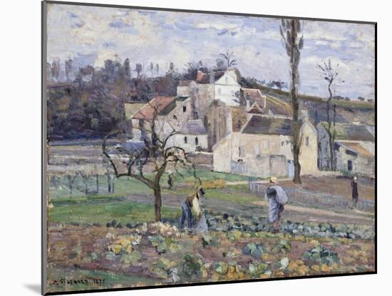 Cabbage Patch Near the Village, 1875-Camille Pissarro-Mounted Giclee Print