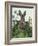 Cabbage Patch Rabbit 1-null-Framed Art Print