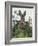 Cabbage Patch Rabbit 1-null-Framed Art Print