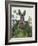 Cabbage Patch Rabbit 1-null-Framed Art Print