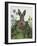 Cabbage Patch Rabbit 1-null-Framed Art Print