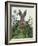 Cabbage Patch Rabbit 1-null-Framed Art Print