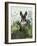 Cabbage Patch Rabbit 4-null-Framed Art Print