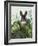 Cabbage Patch Rabbit 4-null-Framed Art Print