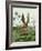 Cabbage Patch Rabbit 5-null-Framed Art Print