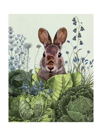 cabbage patch rabbit