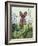 Cabbage Patch Rabbit 6-null-Framed Art Print