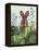 Cabbage Patch Rabbit 6-null-Framed Stretched Canvas