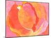 Cabbage Rose I-Carolyn Roth-Mounted Art Print