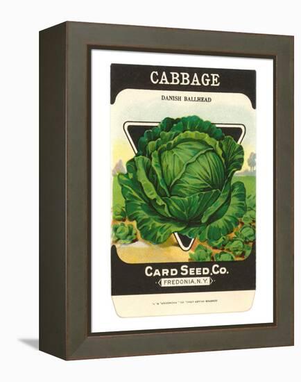 Cabbage Seed Packet-null-Framed Stretched Canvas