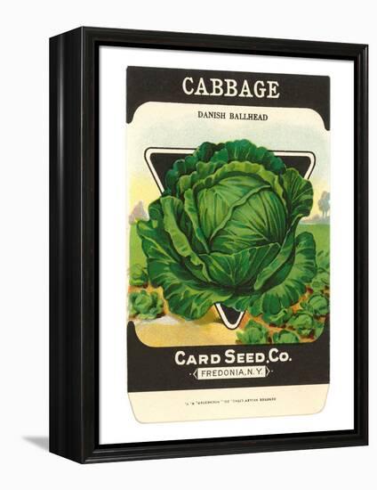 Cabbage Seed Packet-null-Framed Stretched Canvas