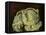 Cabbage Still Life, 2000-Vincent Yorke-Framed Premier Image Canvas