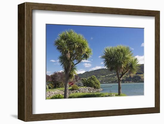 Cabbage trees (Cordyline australis) growing beside Otago Harbour, Macandrew Bay, near Dunedin, Otag-Ruth Tomlinson-Framed Photographic Print