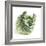 Cabbage-Cristina-Framed Premium Photographic Print