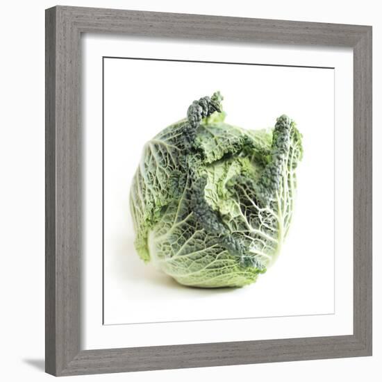 Cabbage-Cristina-Framed Premium Photographic Print