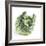 Cabbage-Cristina-Framed Premium Photographic Print