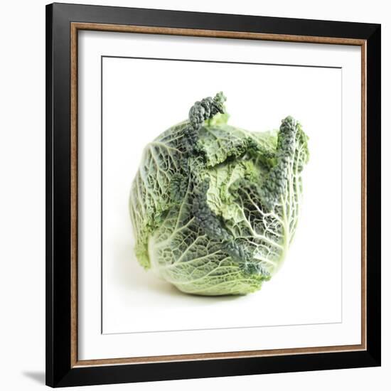 Cabbage-Cristina-Framed Premium Photographic Print