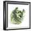 Cabbage-Cristina-Framed Premium Photographic Print