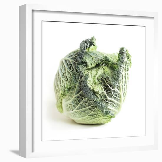 Cabbage-Cristina-Framed Premium Photographic Print