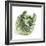 Cabbage-Cristina-Framed Premium Photographic Print