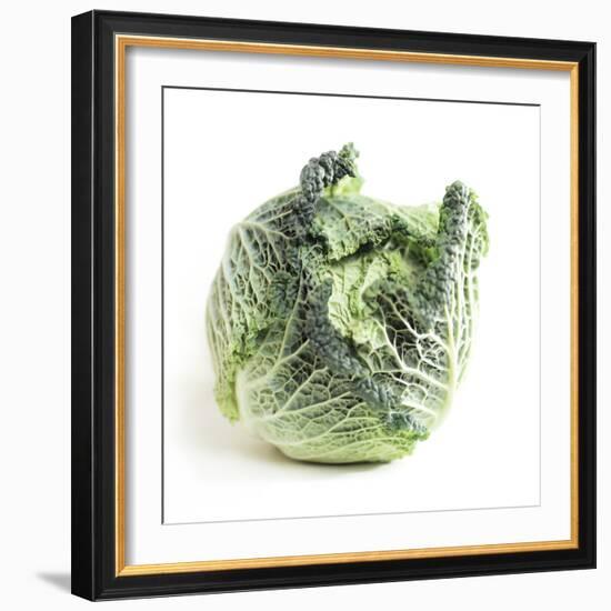 Cabbage-Cristina-Framed Premium Photographic Print
