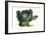 Cabbage-Philippe-Victoire Leveque de Vilmorin-Framed Art Print