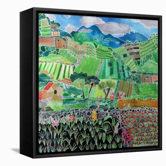 Cabbages and Lilies, Solola Region, Guatemala, 1993-Hilary Simon-Framed Premier Image Canvas