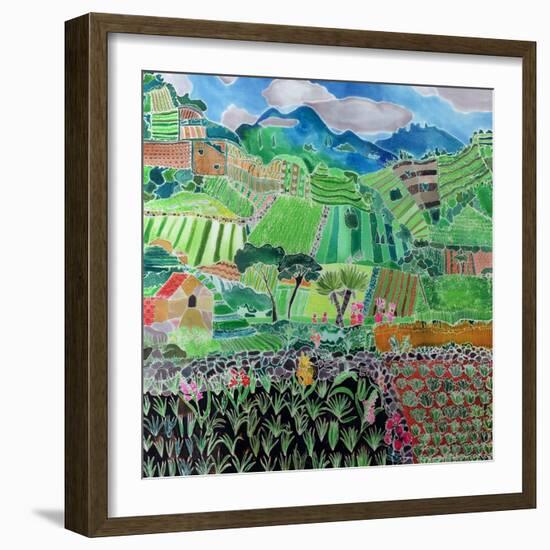 Cabbages and Lilies, Solola Region, Guatemala, 1993-Hilary Simon-Framed Giclee Print