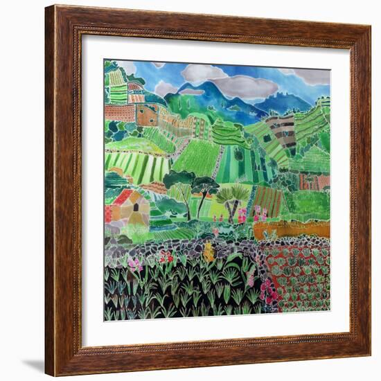 Cabbages and Lilies, Solola Region, Guatemala, 1993-Hilary Simon-Framed Giclee Print